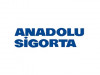 az hasarlı anadolu sigorta araçları