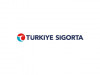 az hasarlı türkiye sigorta araçları